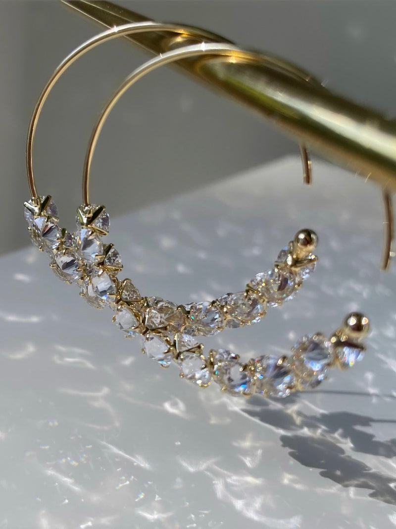 The Frozen Hoop Earrings