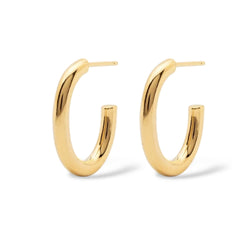 Most Wanted Oval Hoop Earrings