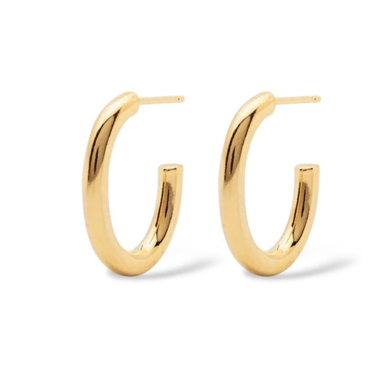 Most Wanted Oval Hoop Earrings