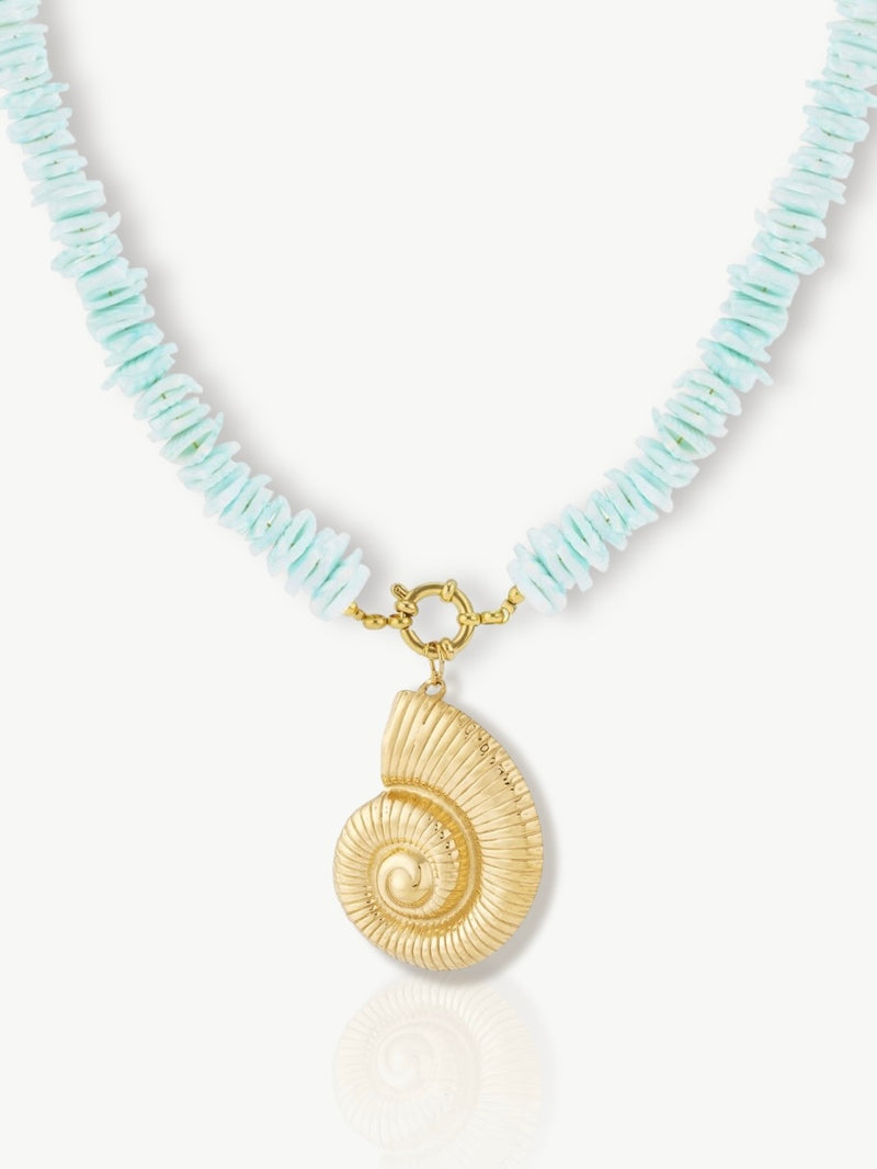 Luxurious Sea Shell Necklace Turquoise