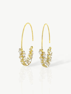 The Frozen Hoop Earrings