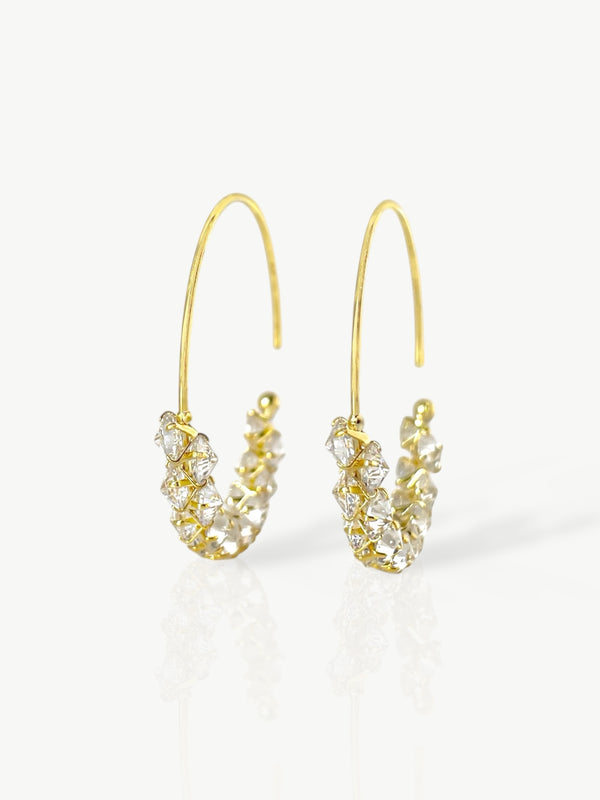 The Frozen Hoop Earrings