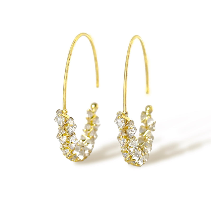 The Frozen Hoop Earrings
