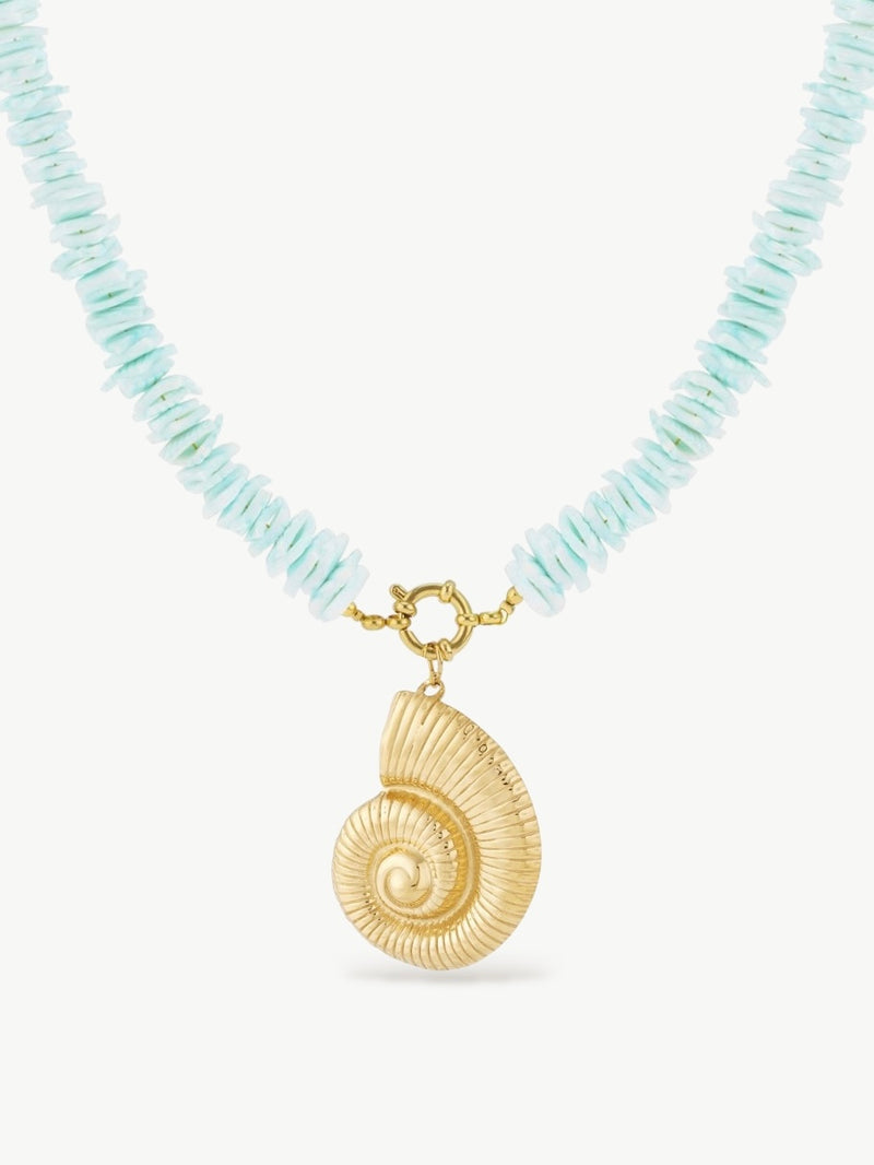 Luxurious Sea Shell Necklace Turquoise
