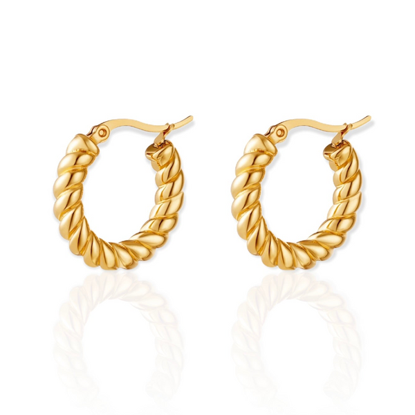 Twisted Hoop Earrings