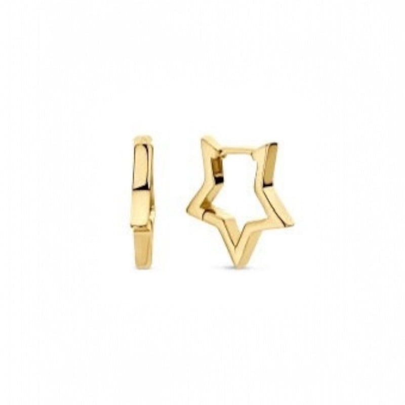 Star Shaped Huggie Earring