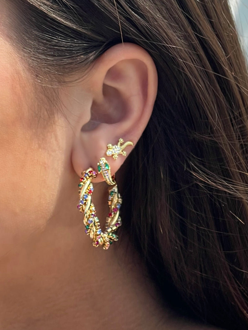 Colorful Hoop Earrings