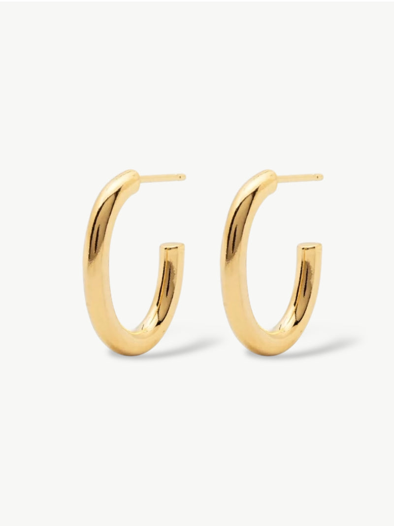 Most Wanted Oval Hoop Earrings